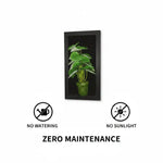 Artificial Green Plant with Pot Wall Photo Frame for Home & Office Decor