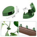 Plant Climbing Wall Fixture Clips