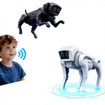 Robotic Dog