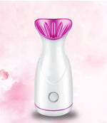 Facial Steamer
